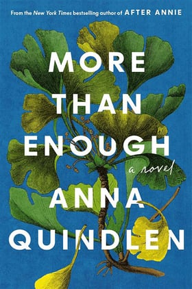 More than enough book cover