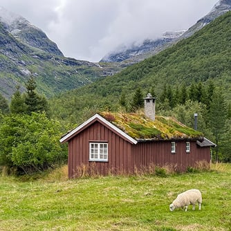 Norway Farm