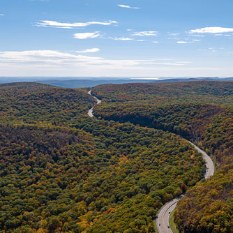 Researching Upstate New York Ancestors
