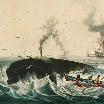 South Sea Whale Fishery