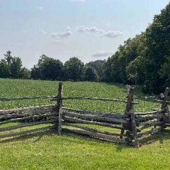 West Woods at Antietam National Battlefield Park