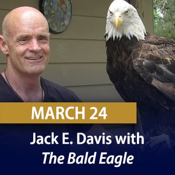 davis-bald-eagle-twg