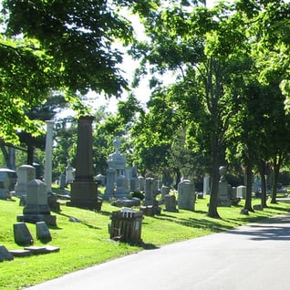 forest-lawn-cemetery--twg