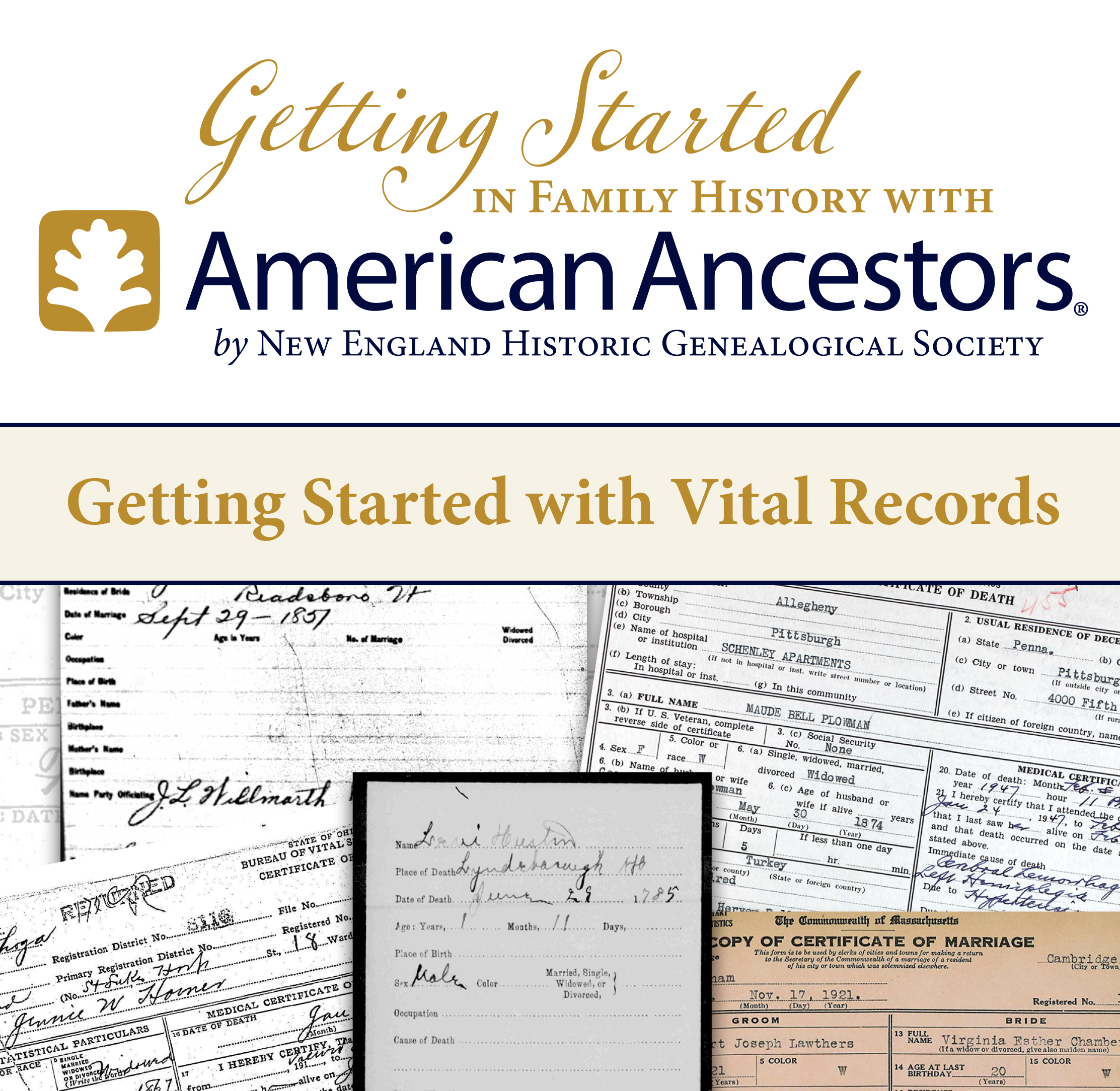 getting-started-vital-records-site-graphic