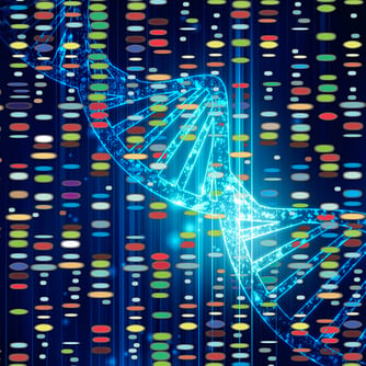 making-connections-Interpreting-dna-test-results