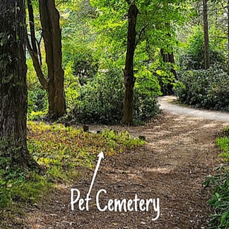 pet cemetery woods